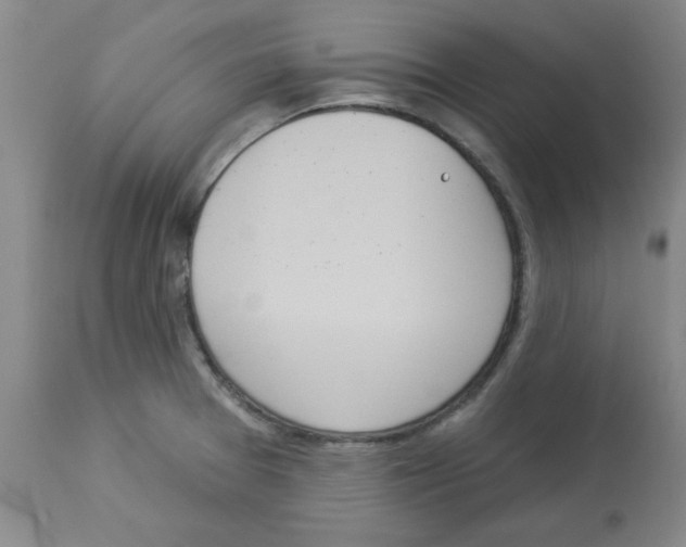 X0000112861377200909181750