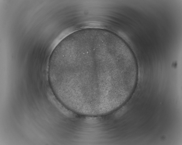 X0000112861378200909181750