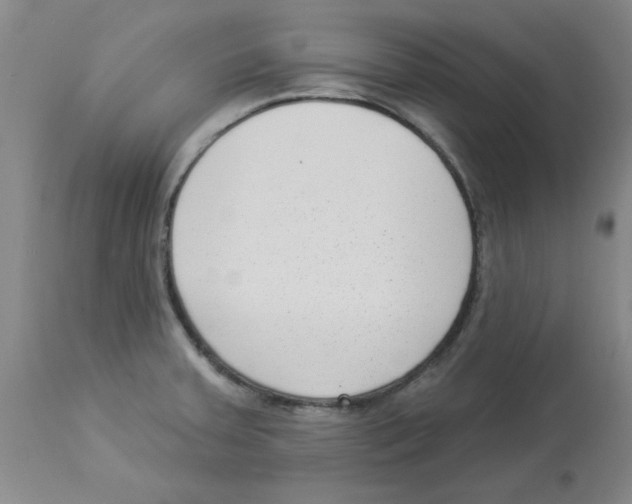 X0000112861379200909181750