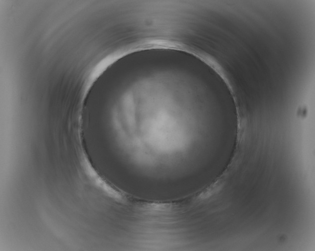 X0000112861381200909181750