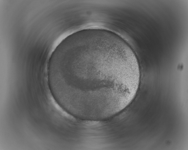 X0000112861382200909181750