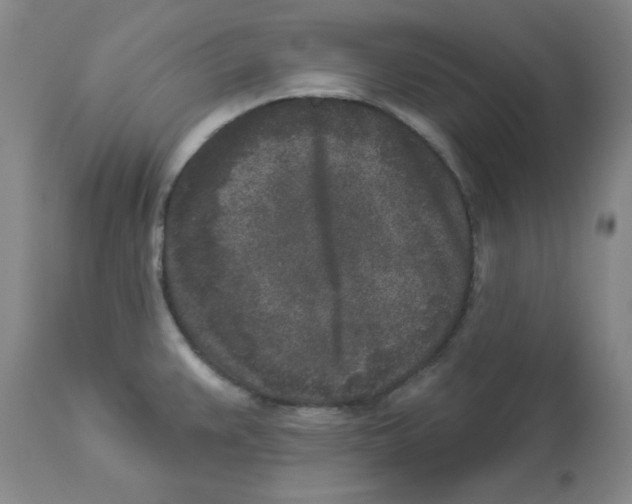 X0000112861383200909181750