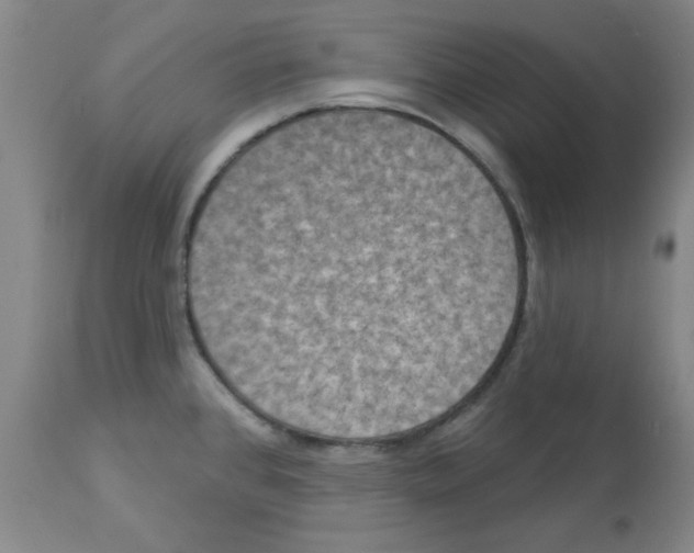 X0000112861384200909181750