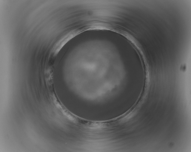 X0000112861385200909181750