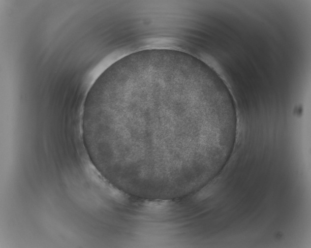 X0000112861386200909181750