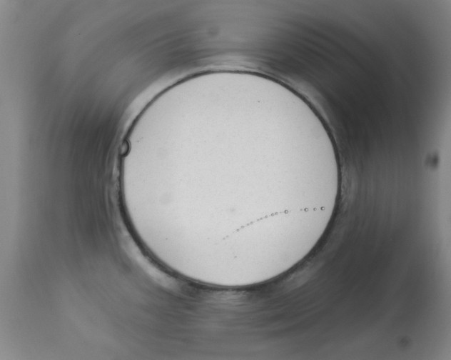 X0000112861387200909181750