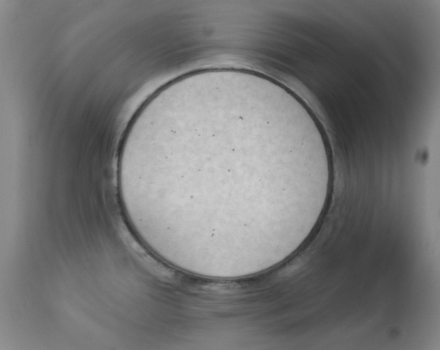 X0000112861388200909181750