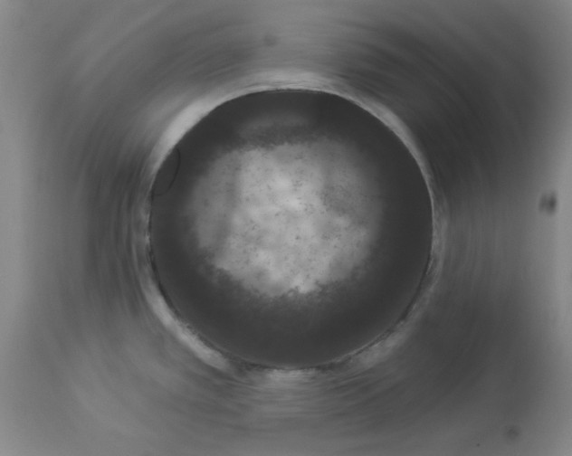 X0000112861389200909181750