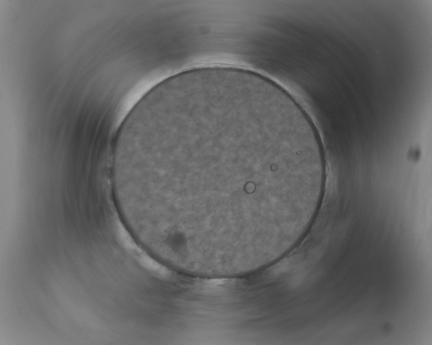 X0000112861390200909181750