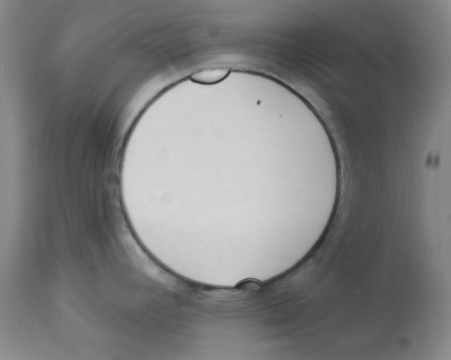 X0000112861392200909181750