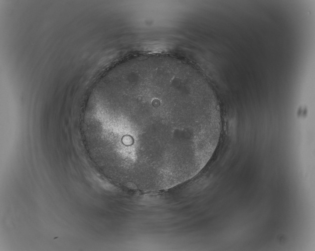 X0000112861393200909181749