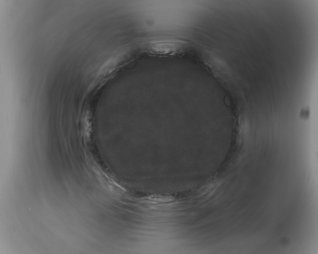 X0000112861394200909181749