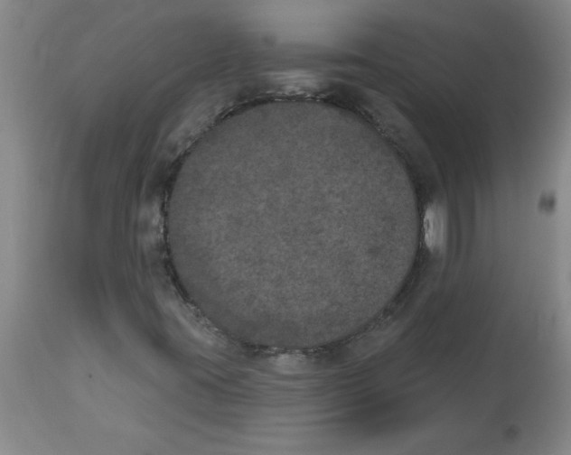 X0000112861395200909181749