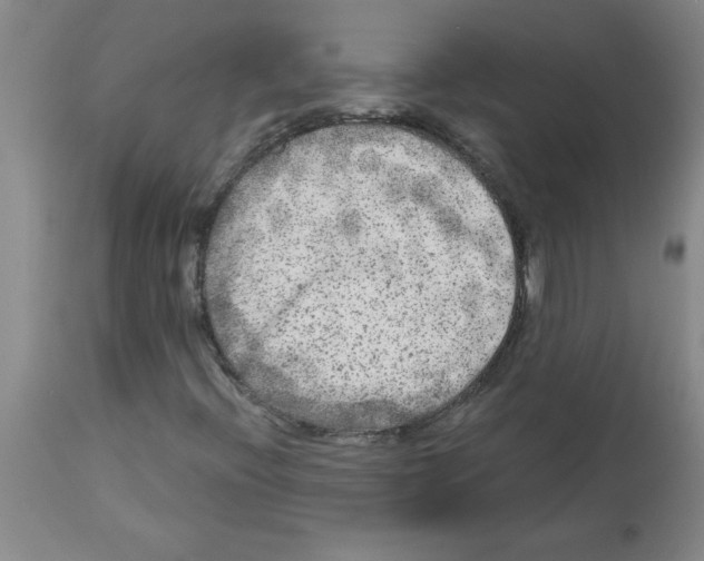 X0000112861396200909181749