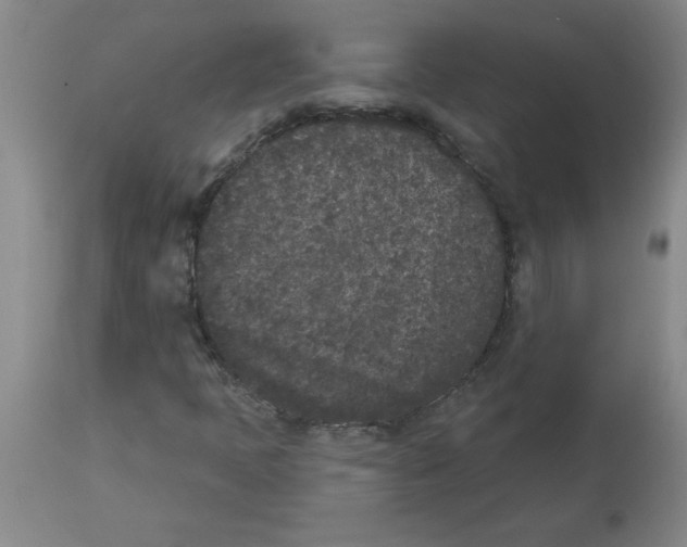 X0000112861397200909181749