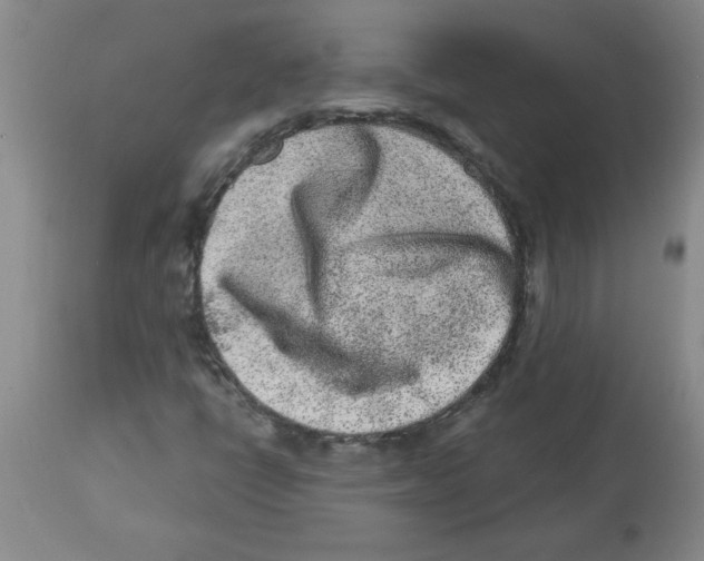 X0000112861398200909181749