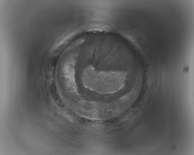 X0000112861399200909181749