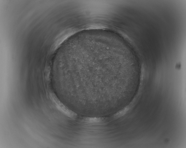 X0000112861401200909181749