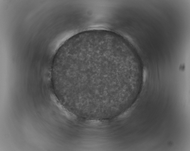 X0000112861405200909181749