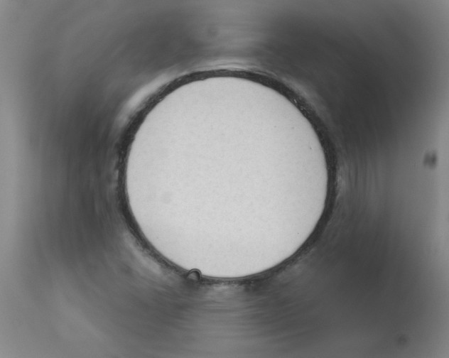 X0000112861406200909181749