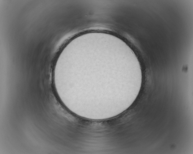 X0000112861408200909181749