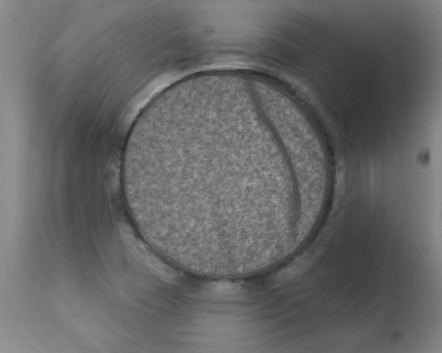 X0000112861409200909181749