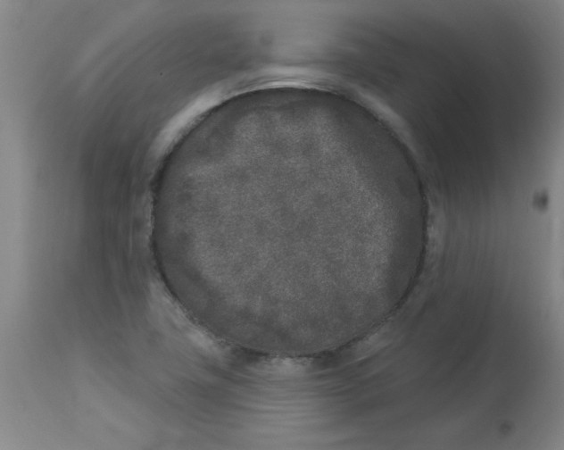 X0000112861411200909181749