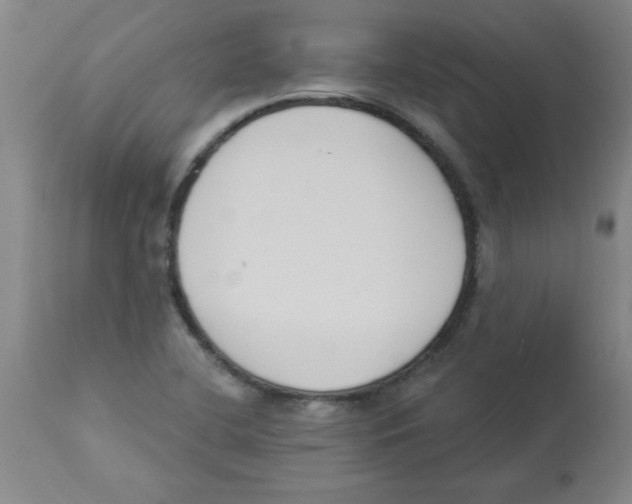 X0000112861412200909181749