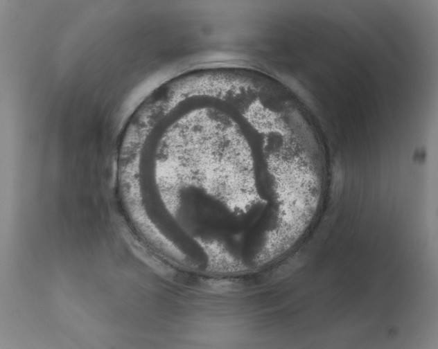 X0000112861413200909181749