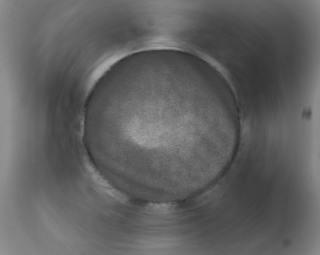 X0000112861415200909181749