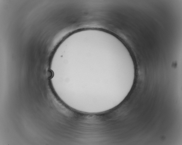 X0000112861416200909181749