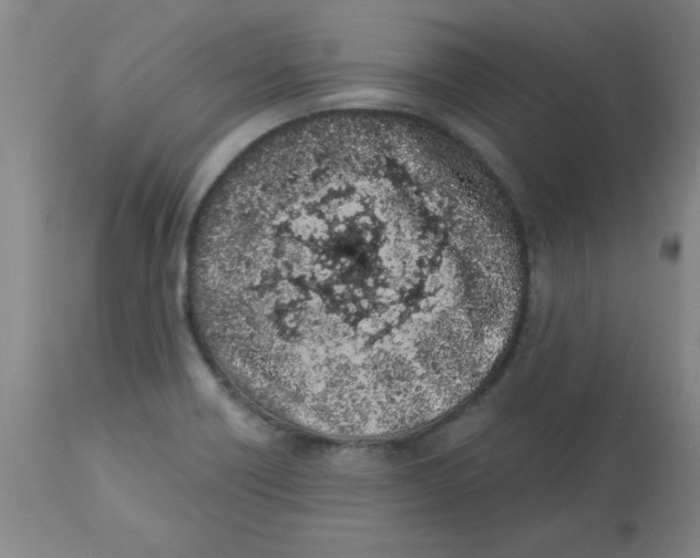 X0000112861418200909181749