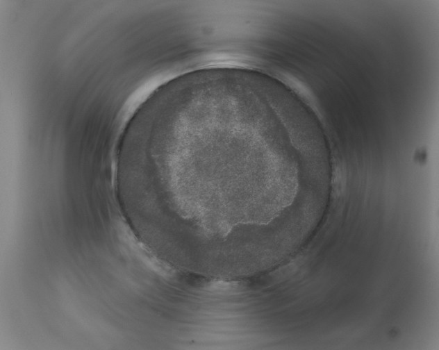 X0000112861419200909181749