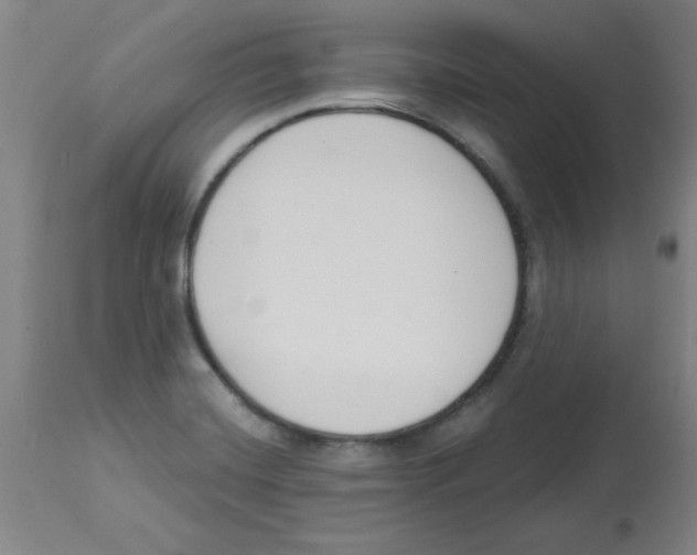 X0000112861420200909181749