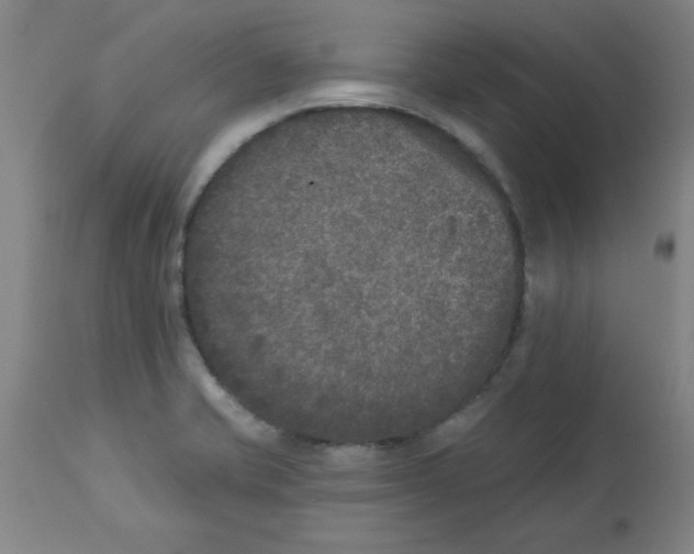 X0000112861421200909181749