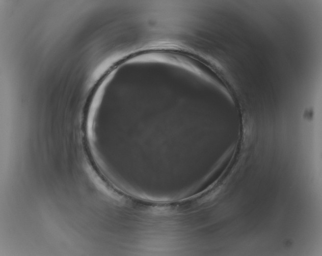 X0000112861422200909181749