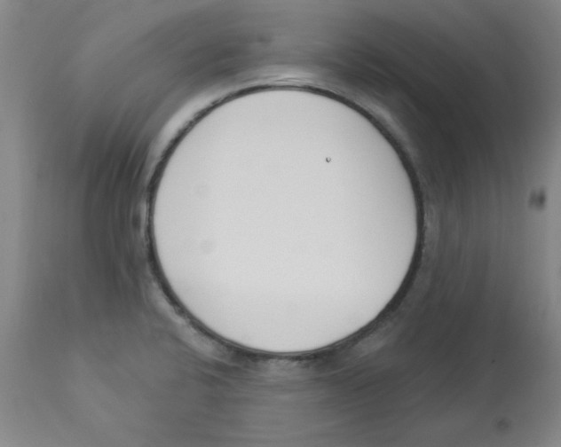 X0000112861424200909181749