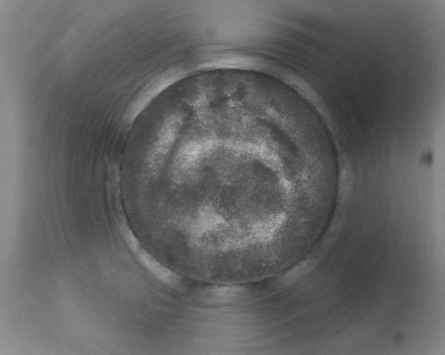 X0000112861425200909181749