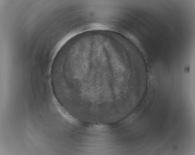 X0000112861427200909181749