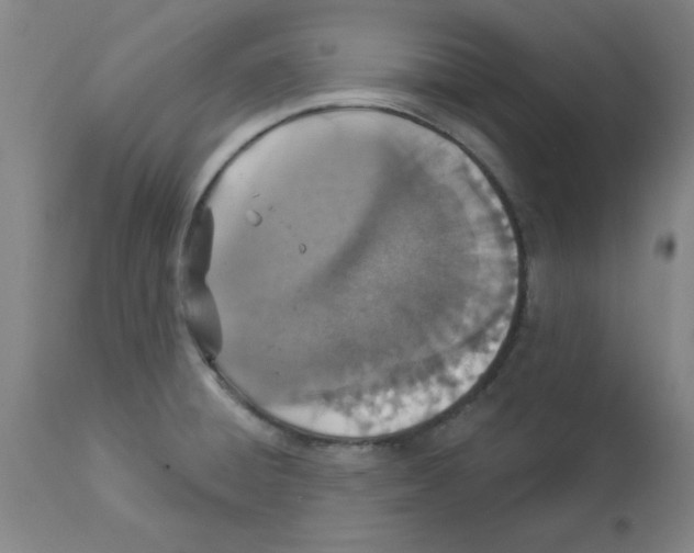 X0000112861428200909181749