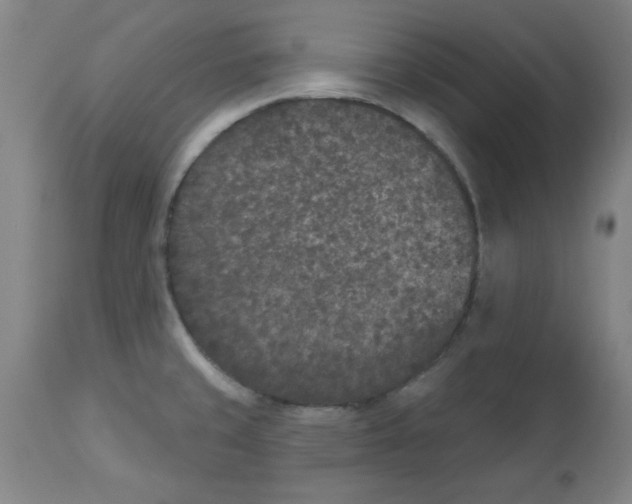 X0000112861429200909181749