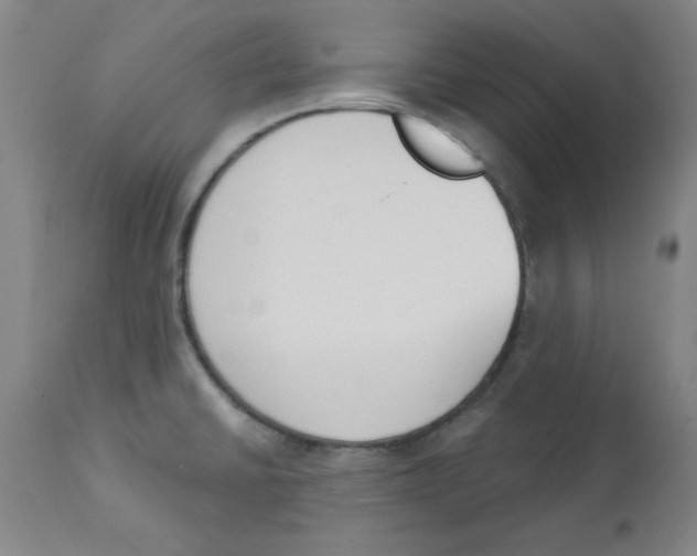 X0000112861430200909181749