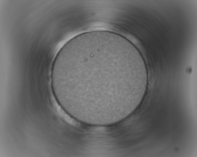 X0000112861431200909181749