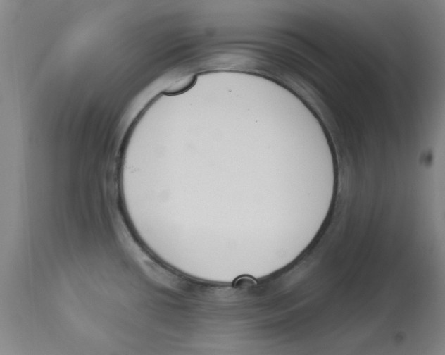 X0000112861434200909181749