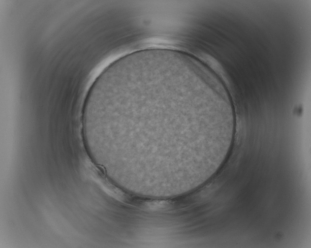 X0000112861435200909181749