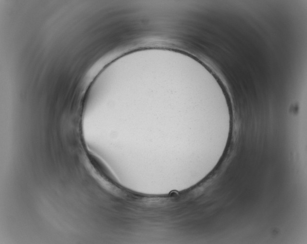 X0000112861437200909181750