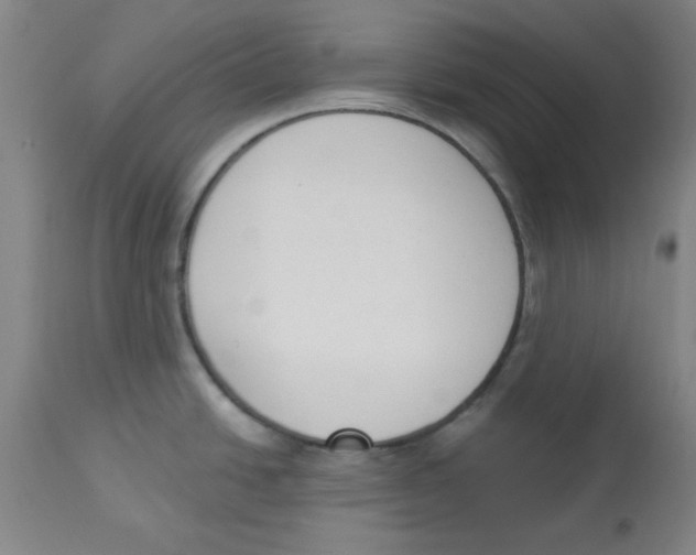 X0000112861438200909181750