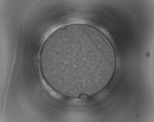 X0000112861439200909181750