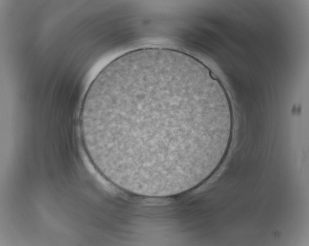 X0000112861440200909181750