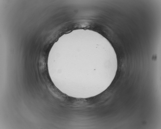 X0000112861442200909181749